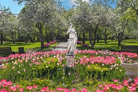 Generated image Stock Photos