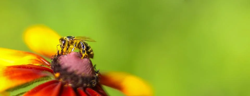 Generated image Stock Photos