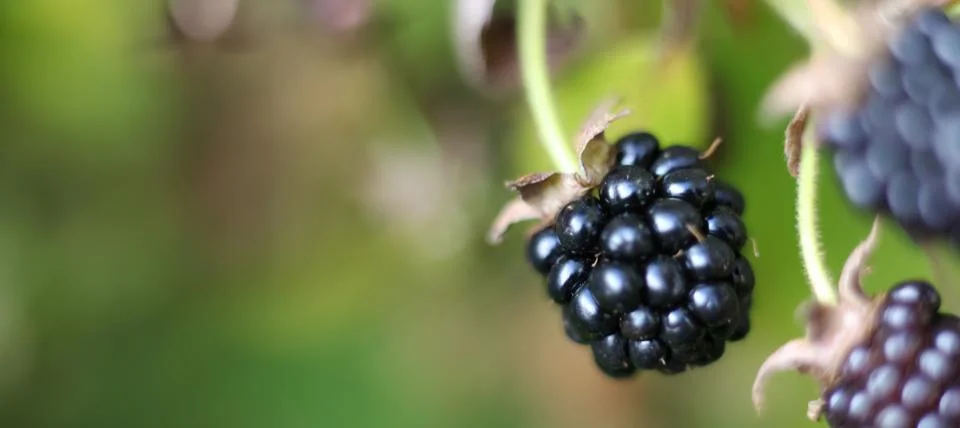 Generated image Stock Photos