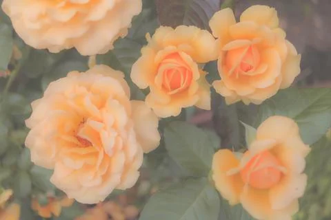 Generated image Stock Photos