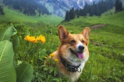 Generated image Foto stock