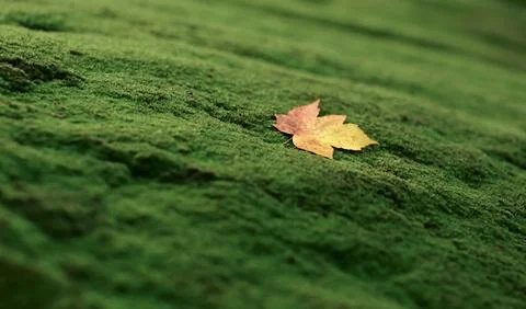 Generated image Stock Photos