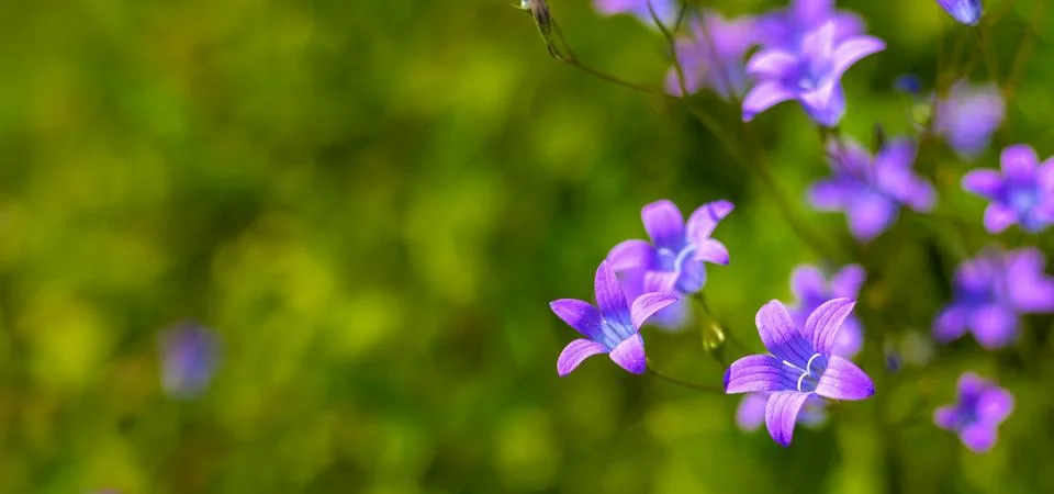 Generated image Foto stock