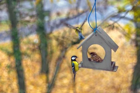 Generated image Stock Photos