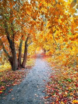 Generated image Stock Photos