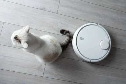 Generated image Stock Photos