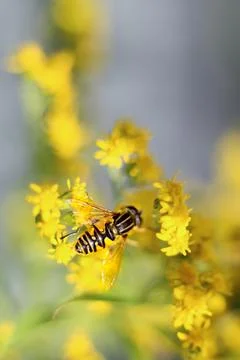 Generated image Stock Photos