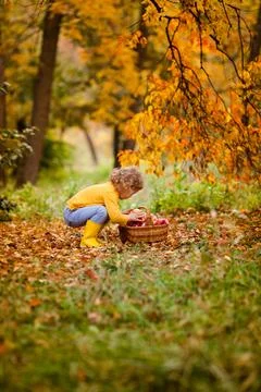 Generated image Stock Photos