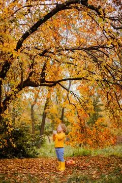 Generated image Stock Photos