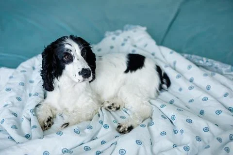 Generated image Stock Photos