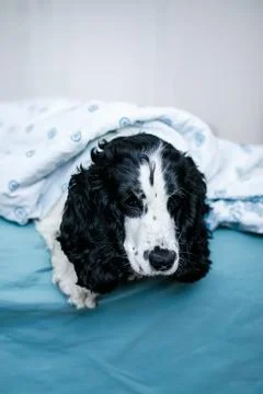 Generated image Stock Photos