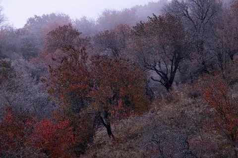 Generated image Foto stock