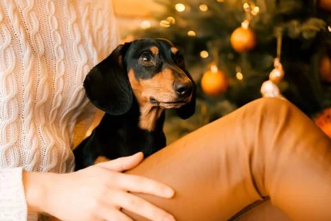 Generated image Stock Photos