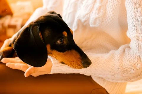 Generated image Stock Photos