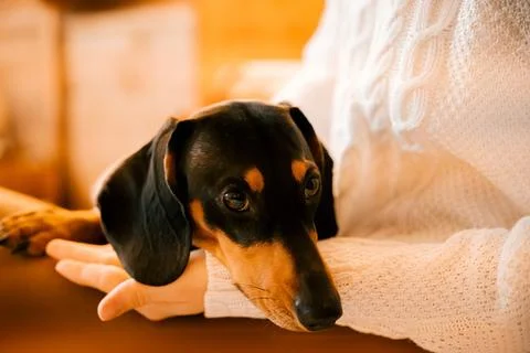 Generated image Stock Photos