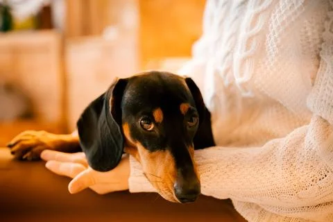 Generated image Stock Photos