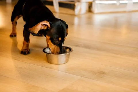 Generated image Stock Photos