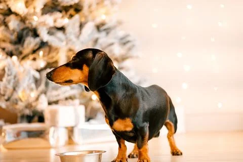 Generated image Stock Photos