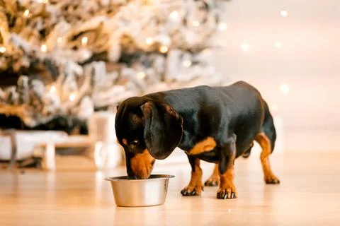 Generated image Stock Photos