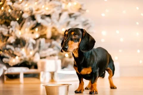 Generated image Stock Photos