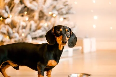 Generated image Stock Photos