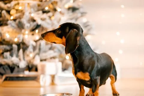 Generated image Stock Photos