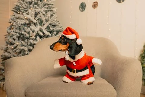 Generated image Stock Photos