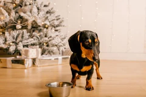 Generated image Stock Photos