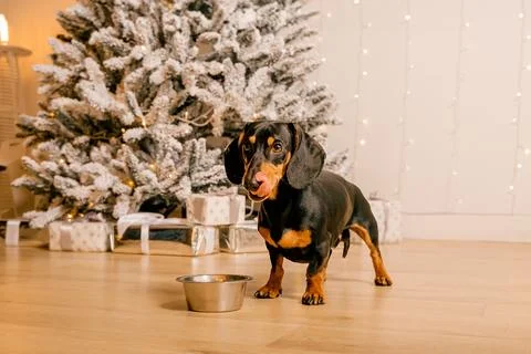 Generated image Stock Photos