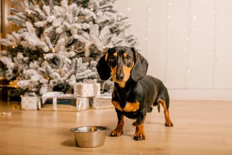 Generated image Stock Photos