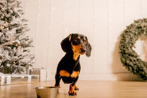 Generated image Stock Photos