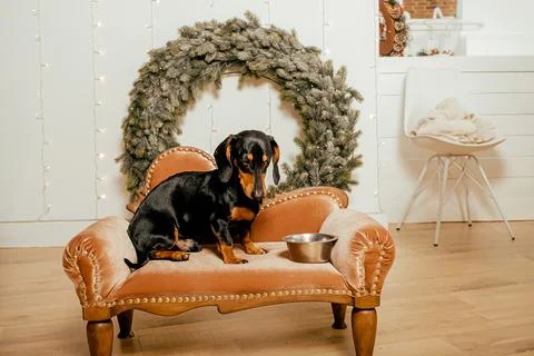 Generated image Stock Photos