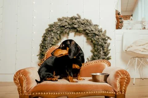 Generated image Stock Photos