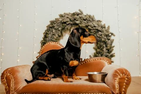 Generated image Stock Photos