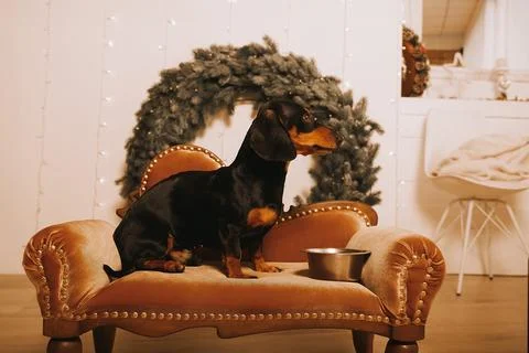 Generated image Stock Photos