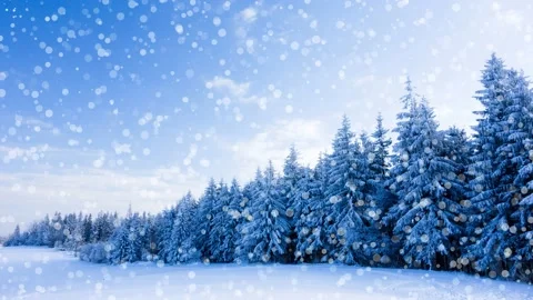Generated snow falling on a beautiful winter forest landscape. Stock Footage 146260128