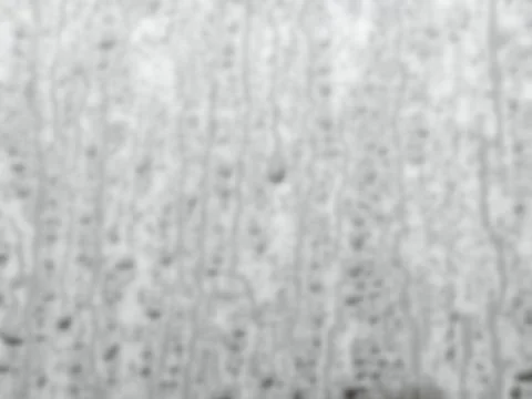 Generating soft gray noise pattern seamless abstract texture background Stock Photos