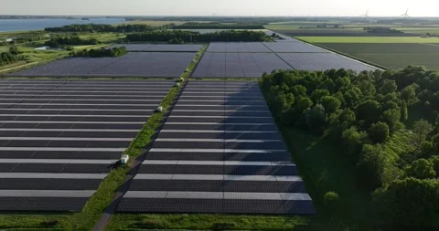 Generation of renewable energy, the largest solar park in the Netherlands 스톡 동영상 308958841