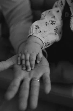 Generations of Love Фото