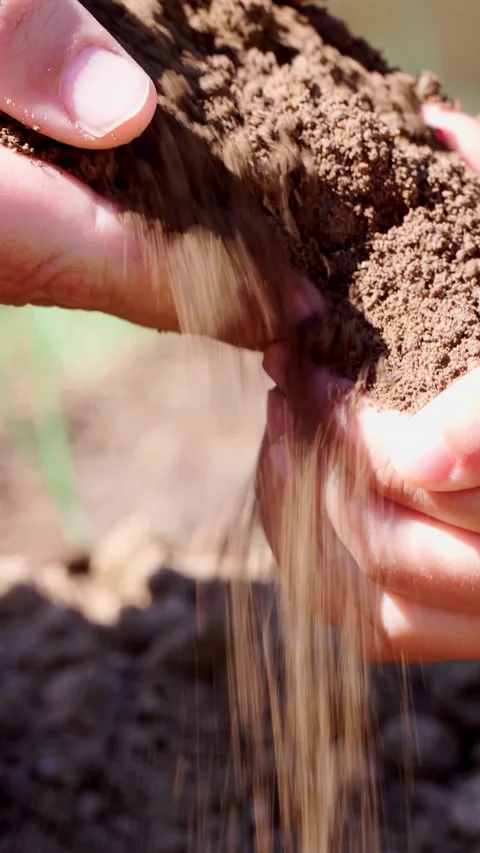 Generations sharing the earth. Stock Footage 270796632