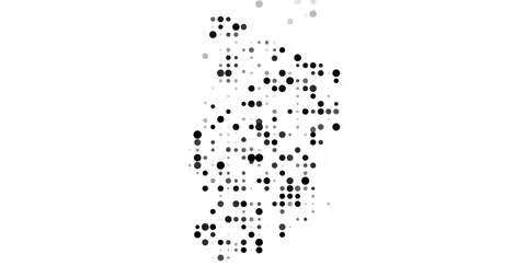 Generative Art Dots Dropping into Chad Country Outline Stock Footage 315497001