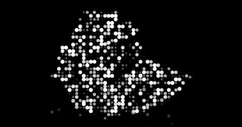 Generative art Ethiopia shape with circular motion Stock Footage 314597649