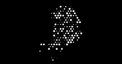 Generative Circle Grid Map of Hanguk Stock Footage 312475797