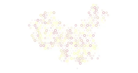 Generative Circle Network Map of China Stock Footage 312355594
