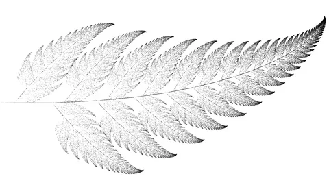 Generative Fern Plant Leaves Pattern Rendered Line Animation Mask Stock Footage 118984255