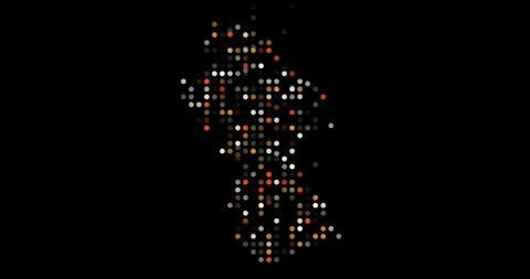 Generative Flying Circles Shaping Guyana Outline Stock Footage 321299641