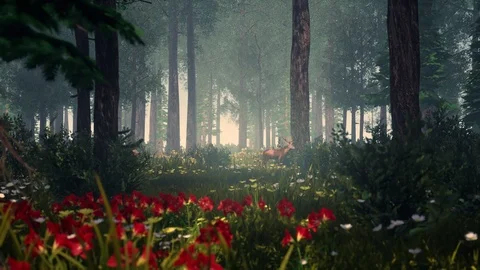 Generative Forest Series Video stock 126697129