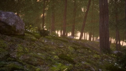 Generative Forest Series Stock Footage 126697205