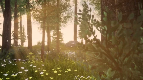 Generative Forest Series Stock Footage 126697218