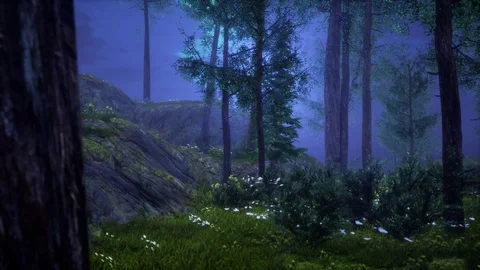 Generative Forest Series Stock Footage 126697279